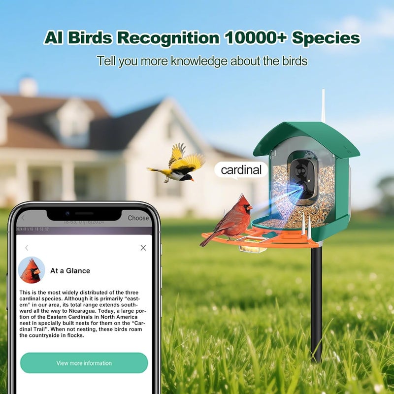 Gyozol Bird Feeder with Camera,WiFi Smart Bird House with Cam Solar Powered for Outdoor,AI Identify,App Notification,Night Vision,2K Live View,Auto Record Video,Birdwatching Gifts for Family,Birds Lover - Image 2